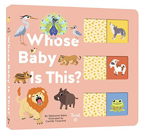 Whose Baby is This? by Stéphanie Babin, Camille Tisserand, 9782408023898