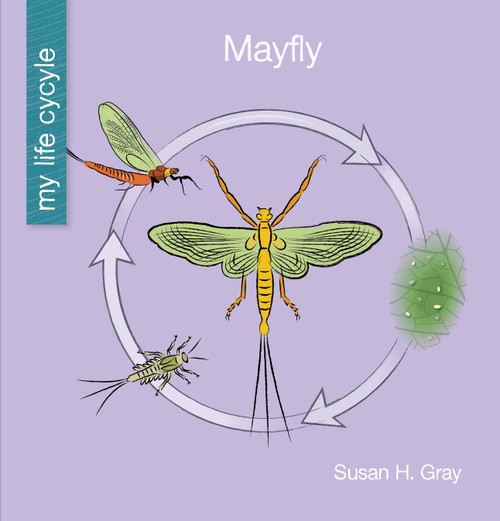 Mayfly - 9781534181748 by Susan H. Gray, Jeff Bane, 9781534181748
