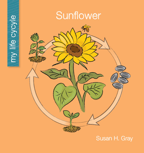 Sunflower - 9781534179998 by Susan H. Gray, Jeff Bane, 9781534179998