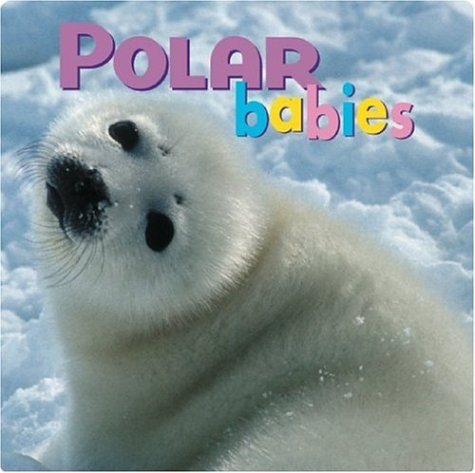 Polar Babies by Kristen McCurry, 9781559718752