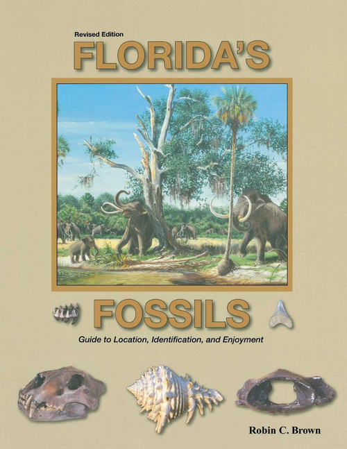 Florida's Fossils by Robin C. Brown, 9781561645718