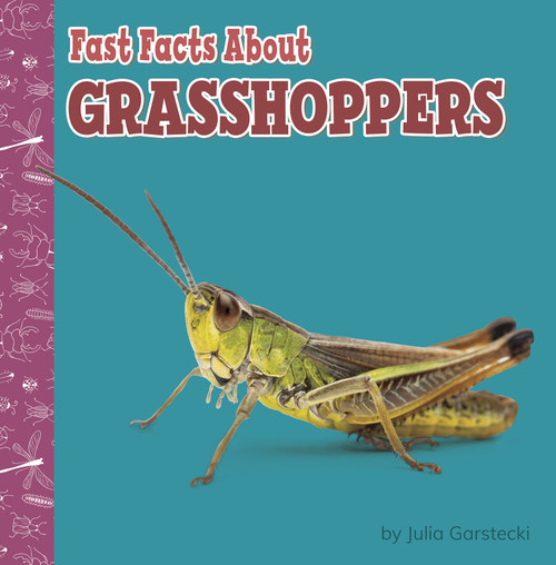 Fast Facts About Grasshoppers by Julia Garstecki-Derkovitz, 9781977132697