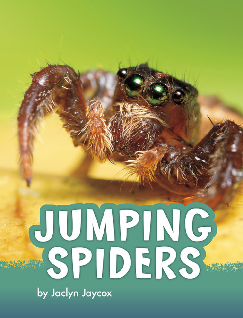 Jumping Spiders - 9781977132987 by Jaclyn Jaycox, 9781977132987