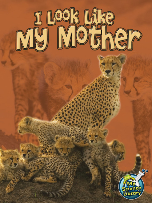I Look Like My Mother by Julie Lundgren, 9781618102331