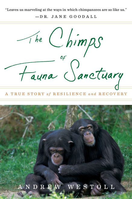 The Chimps Of Fauna Sanctuary (A True Story of Resilience and Recovery) by Andrew Westoll, 9780547737386