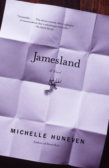 Jamesland by Michelle Huneven, 9780375713132