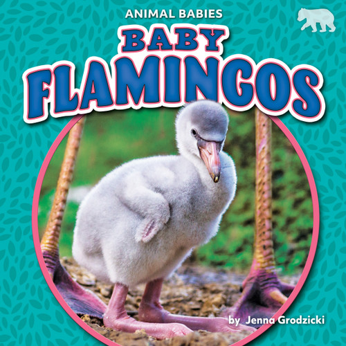 Baby Flamingos - 9781647474683 by Jenna Grodzicki, 9781647474683
