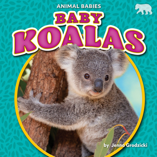 Baby Koalas - 9781647474782 by Jenna Grodzicki, 9781647474782