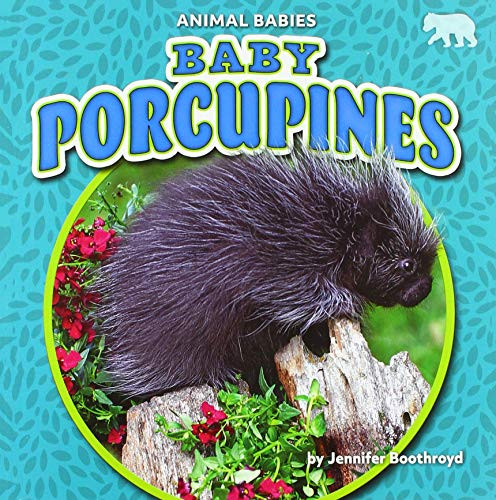 Baby Porcupines by Jennifer Boothroyd, 9781647474799