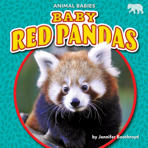 Baby Red Pandas - 9781647474805 by Jennifer Boothroyd, 9781647474805