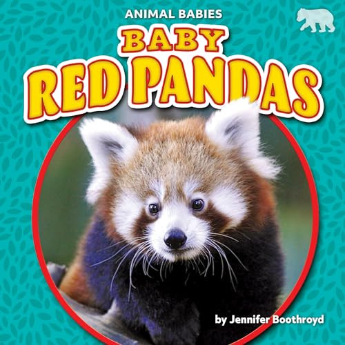 Baby Red Pandas - 9781647474720 by Jennifer Boothroyd, 9781647474720