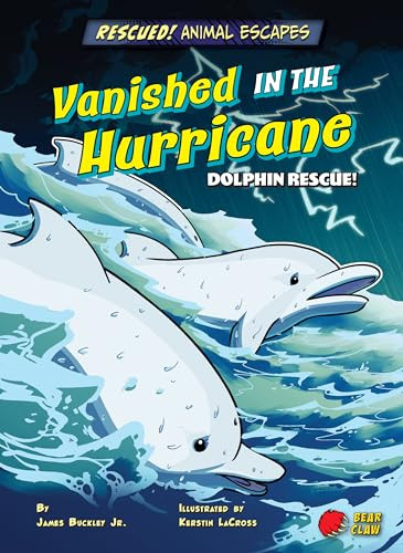 Vanished in the Hurricane (Dolphin Rescue!) by James Buckley Jr., Kerstin LaCross, 9781647476205