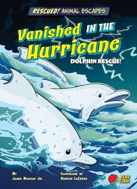 Vanished in the Hurricane (Dolphin Rescue!) - 9781647476274 by James Buckley Jr., Kerstin LaCross