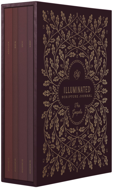 ESV Illuminated Scripture Journal (Gospels Set (Paperback)) by , 9781433570889
