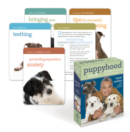 Puppyhood Deck (50 Tips for Raising the Perfect Dog) by Cesar Millan, 9780307463487