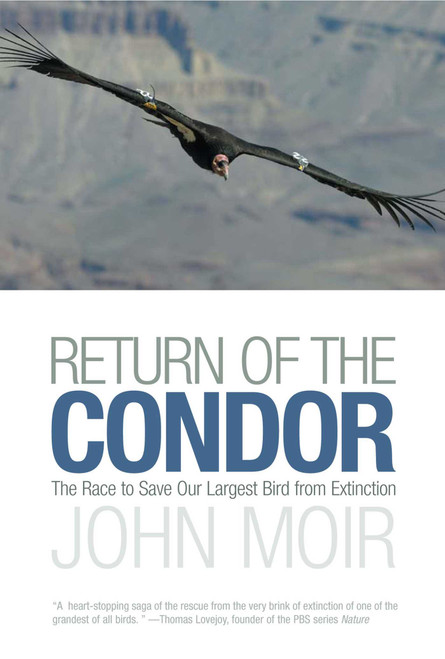 Return of the Condor (The Race to Save Our Largest Bird from Extinction) by John Moir, 9781592289493