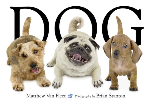 Dog - 9781416941378 by Matthew Van Fleet, Brian Stanton, 9781416941378