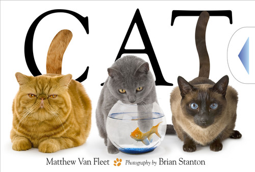 Cat - 9781416978008 by Matthew Van Fleet, Brian Stanton, 9781416978008