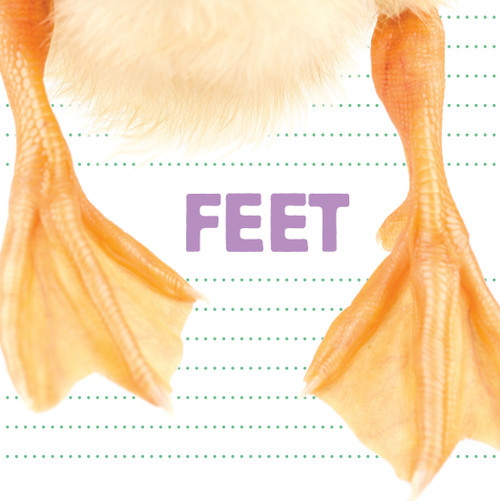 Feet - 9781486713820 by Katrine Crow, 9781486713820