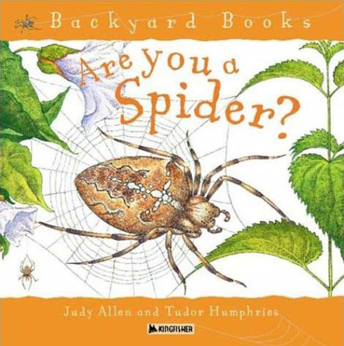 Are You a Spider? by Judy Allen, Tudor Humphries, 9780753456095