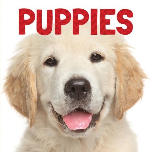 Puppies - 9781486718580
