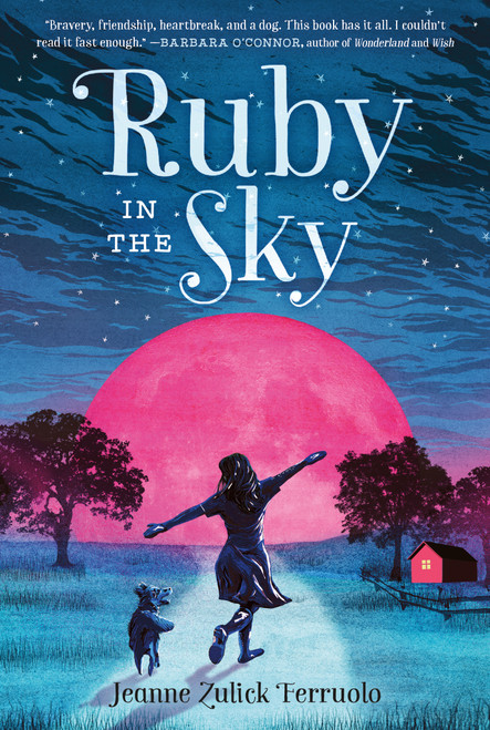 Ruby in the Sky - 9781250233295 by Jeanne Zulick Ferruolo, 9781250233295
