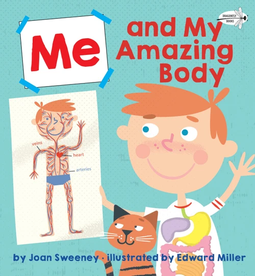 Me and My Amazing Body by Joan Sweeney, Ed Miller, 9781524773625