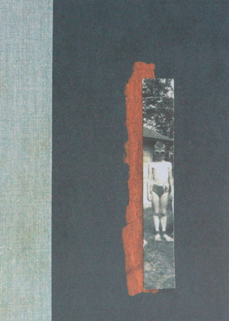Nox by Anne Carson, 9780811218702