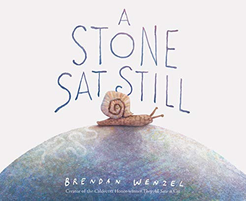 A Stone Sat Still by Brendan Wenzel, 9781452173184