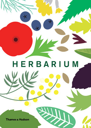 Herbarium by Caz Hildebrand, 9780500518939