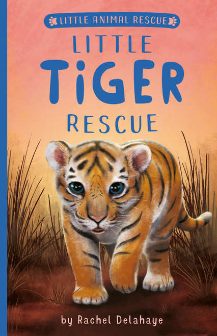 Little Tiger Rescue by Rachel Delahaye, Suzie Mason, Artful Doodlers, 9781680104806