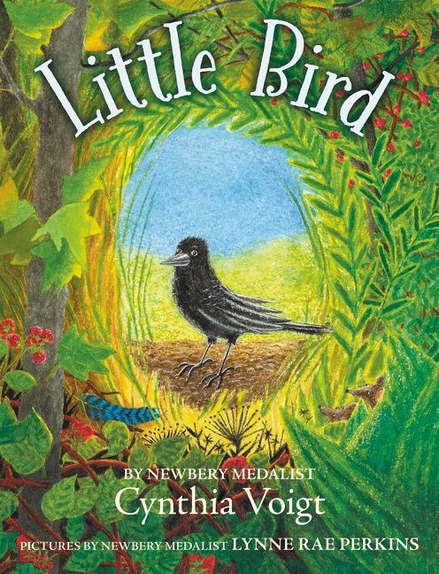 Little Bird - 9780062996909 by Cynthia Voigt