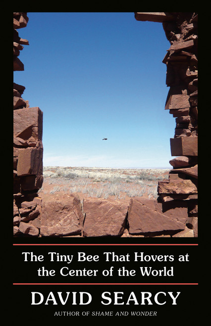 The Tiny Bee That Hovers at the Center of the World by David Searcy, 9780593133644