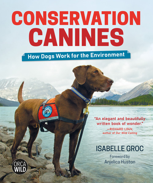 Conservation Canines (How Dogs Work for the Environment) by Isabelle Groc, Anjelica Huston, 9781459821606