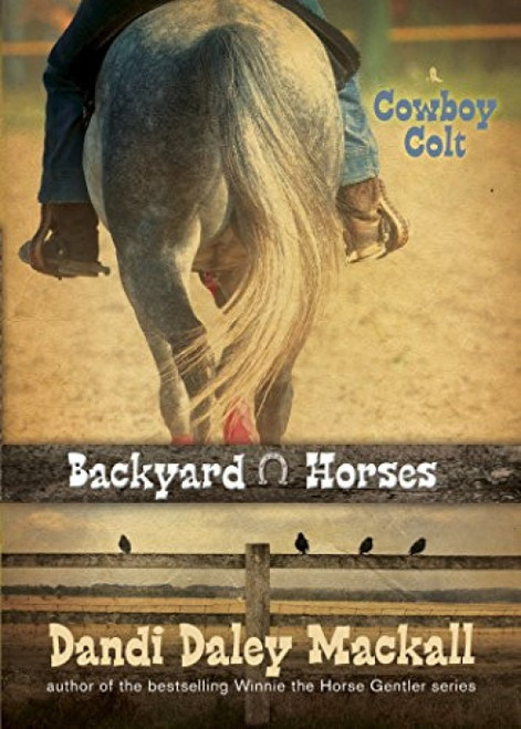 Cowboy Colt by Dandi Daley Mackall, 9781414339177