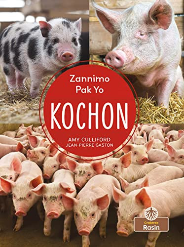 Kochon (Pigs) by Amy Culliford, Jean-Pierre Gaston, Jean-Pierre Gaston, 9781427138170