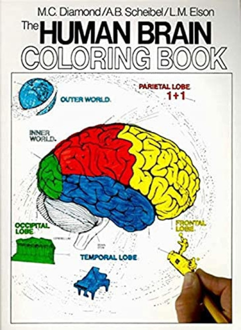 The Human Brain Coloring Book (A Coloring Book) by Marian C. Diamond, Arnold B. Scheibel, 9780064603065