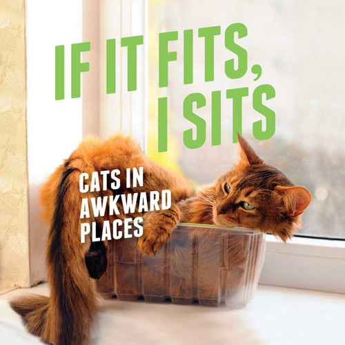 If It Fits, I Sits (Cats in Awkward Places) by Various, 9781982149628