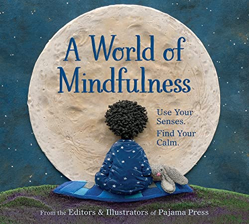 A World of Mindfulness by Erin Alladin, Suzanne Del Rizzo, Rebecca Bender, Gabrielle Grimard, Tara Anderson, François Thisdale, Scot Ritchie, Miki Sato, Tamara Campeau, Emma Pedersen, Carmen Mok, Aino Anto, Sue Macartney, Amélie Dubois, Andrea Blinick, 9781772781380