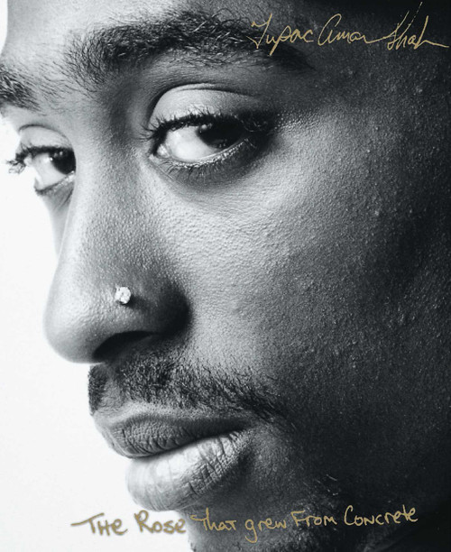 The Rose That Grew From Concrete - 9780671028459 by Tupac Shakur, 9780671028459