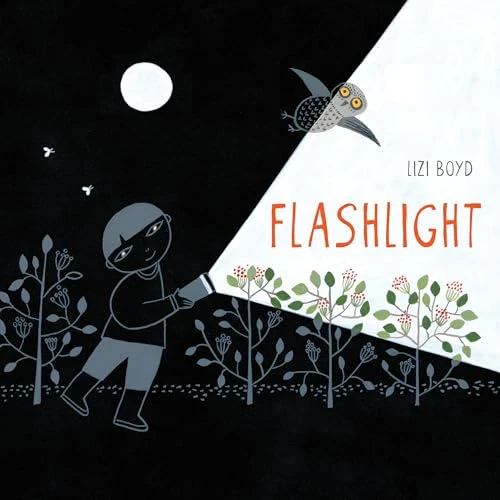 Flashlight ((Picture Books, Wordless Books for Kids, Camping Books for Kids, Bedtime Story Books, Children's Activity Books, Children's Nature Books)) by Lizi Boyd, 9781452118949