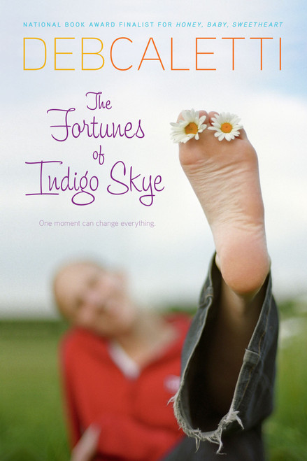 The Fortunes of Indigo Skye - 9781416910084 by Deb Caletti, 9781416910084