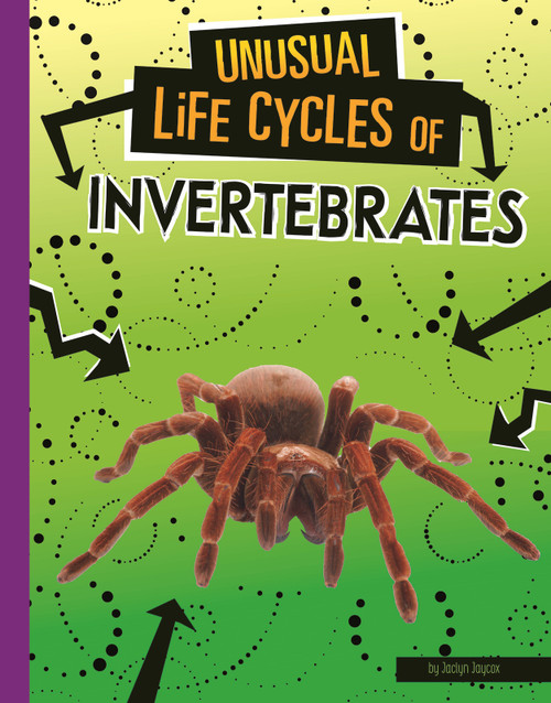 Unusual Life Cycles of Invertebrates by Jaclyn Jaycox, 9781496696991