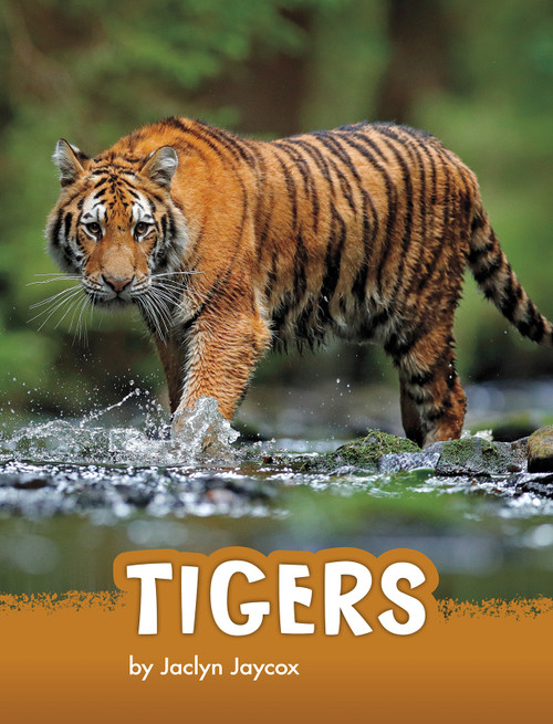 Tigers by Jaclyn Jaycox, 9781977132017