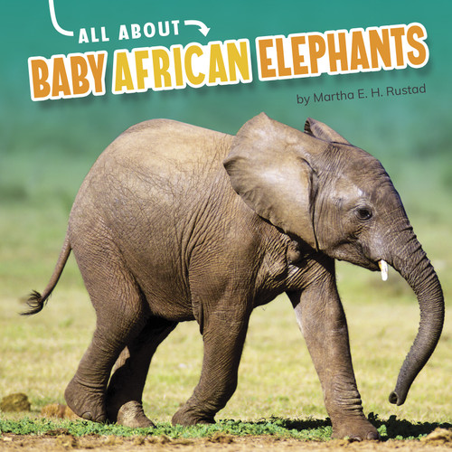 All About Baby African Elephants by Martha E. H. Rustad, 9781663907752