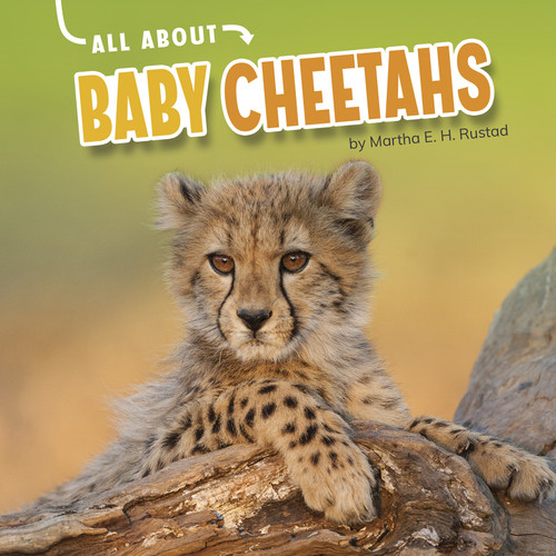 All About Baby Cheetahs by Martha E. H. Rustad, 9781663907790
