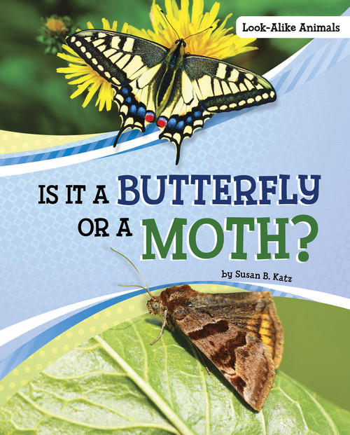 Is It a Butterfly or a Moth? by Susan B. Katz, 9781663908476