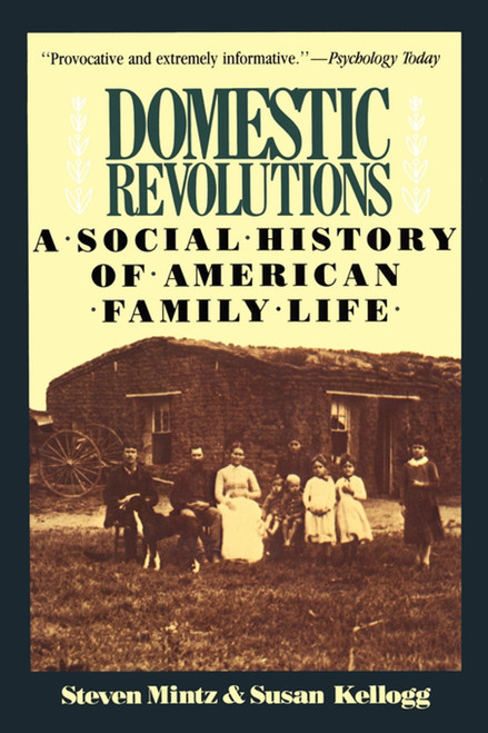 Domestic Revolutions (A Social History Of American Family Life) by Steven Mintz, Susan Kellogg, 9780029212912