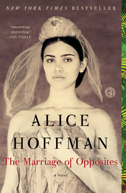 The Marriage of Opposites by Alice Hoffman, 9781451693607