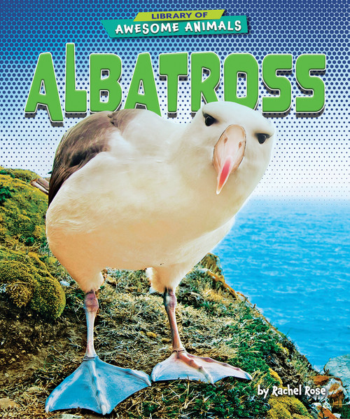 Albatross - 9781636911557 by Rachel Rose, 9781636911557